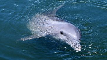 【携程攻略】马累岛马尔代夫居民岛一日游(含