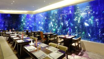 厦门荣誉国际酒店(梵尔纳海洋主题自助餐厅)自