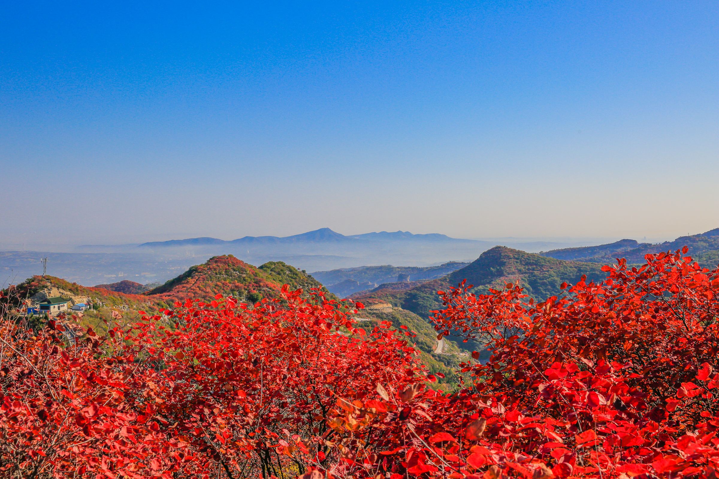 河南巩义竹林长寿山一日游【金秋赏红叶,网红景点拍照