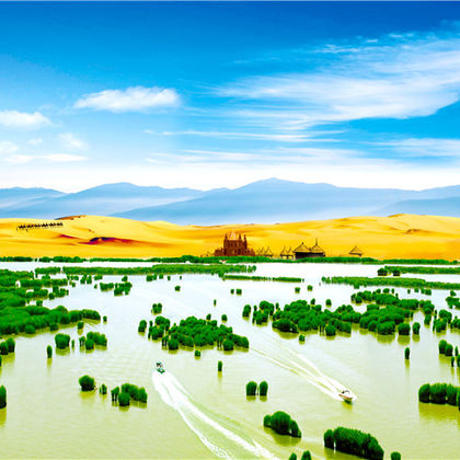 宁夏银川沙湖生态旅游区+西夏陵国家考古遗址公园一日游