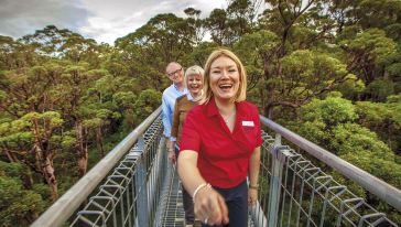 珀斯巨人谷树顶漫步英文一日游怎么样\/好玩吗