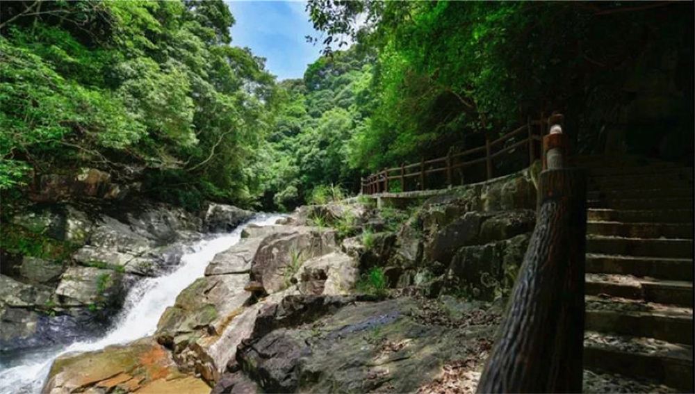 福州寿山石古矿洞 中国寿山石馆 九峰村纯玩一日游(专车专导轻奢小团