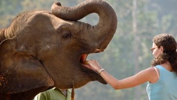 斯里兰卡大象孤儿院+康提一日游游玩交通路线