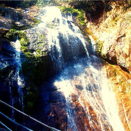 天目山景区+龙门秘境一日游 天目山景区+龙门秘境一日游
