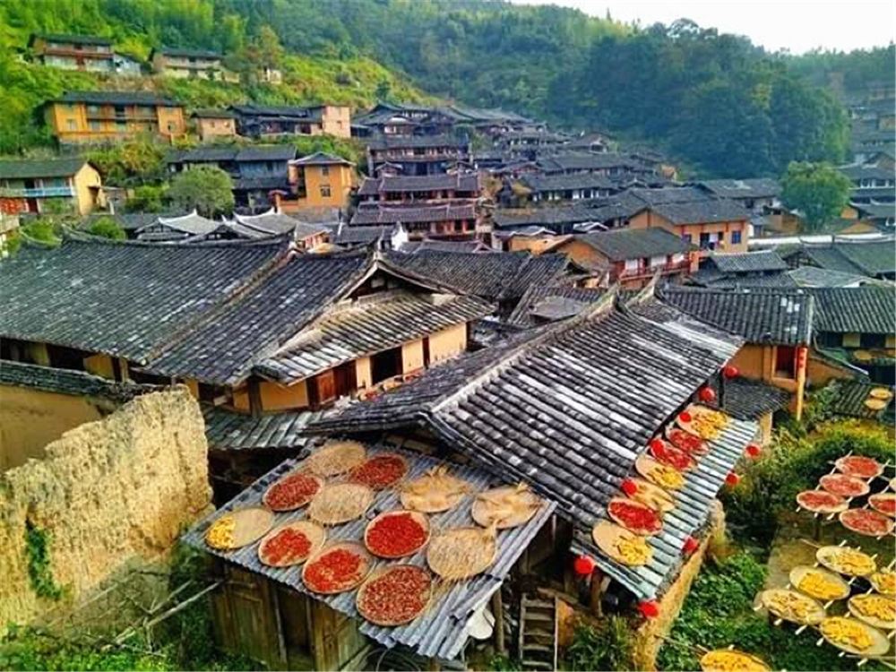 尤溪桂峰古村落景区一日游【朱子文化园 中仙旅游, 专车专导专享团