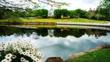 澳大利亚悉尼猎人谷 +中央海岸爬虫动物园一日