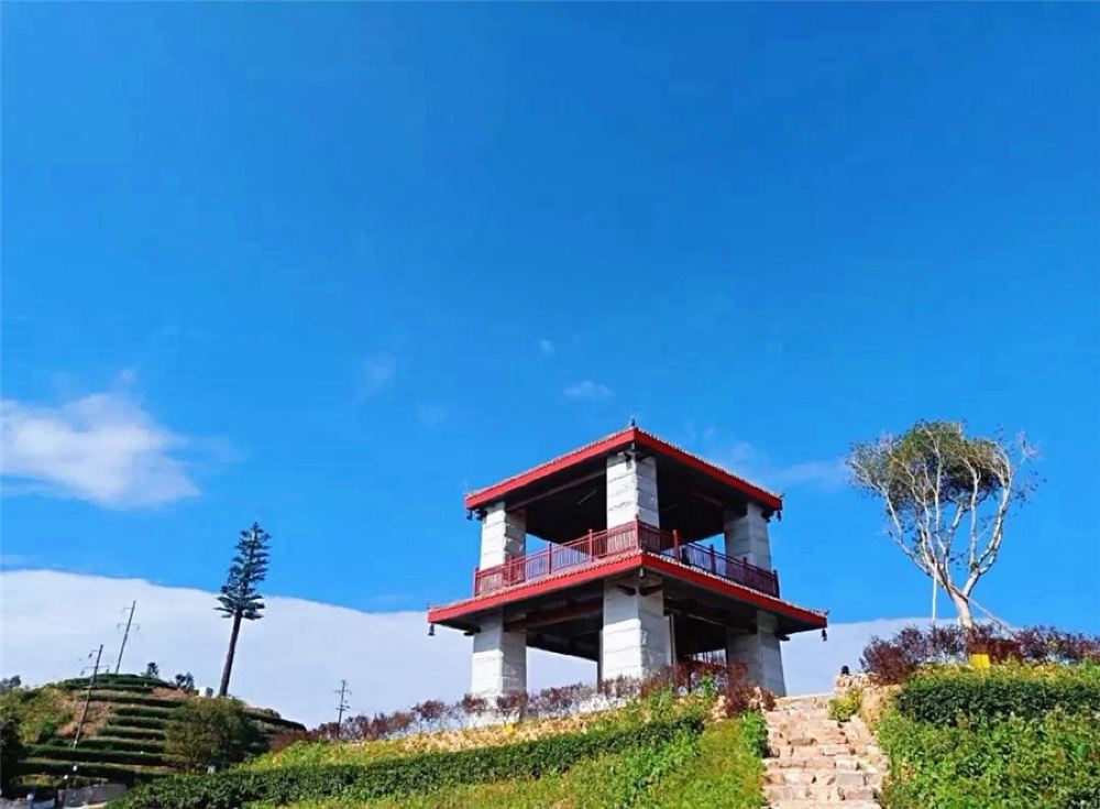 漳州平和高峰谷+蚂蚁王国+玻璃桥+玻璃滑道纯玩一日游