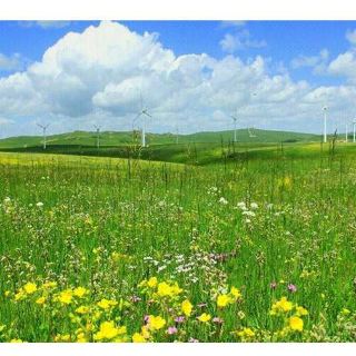 黄花沟旅游区