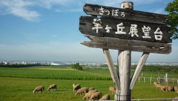 【札幌一日游】羊之丘展望台+三井奥特莱斯+