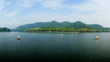 杭州西湖+雷峰塔+西溪湿地西区(洪园景区)一日