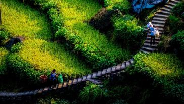 浙江开化国家公园旅游通票怎么样\/好玩吗