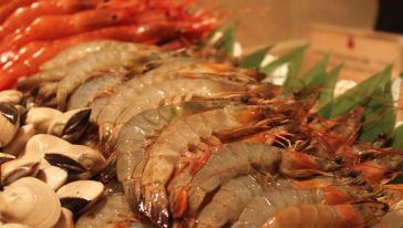 【喷射飞航】香港国际机场-澳门往返船票换票