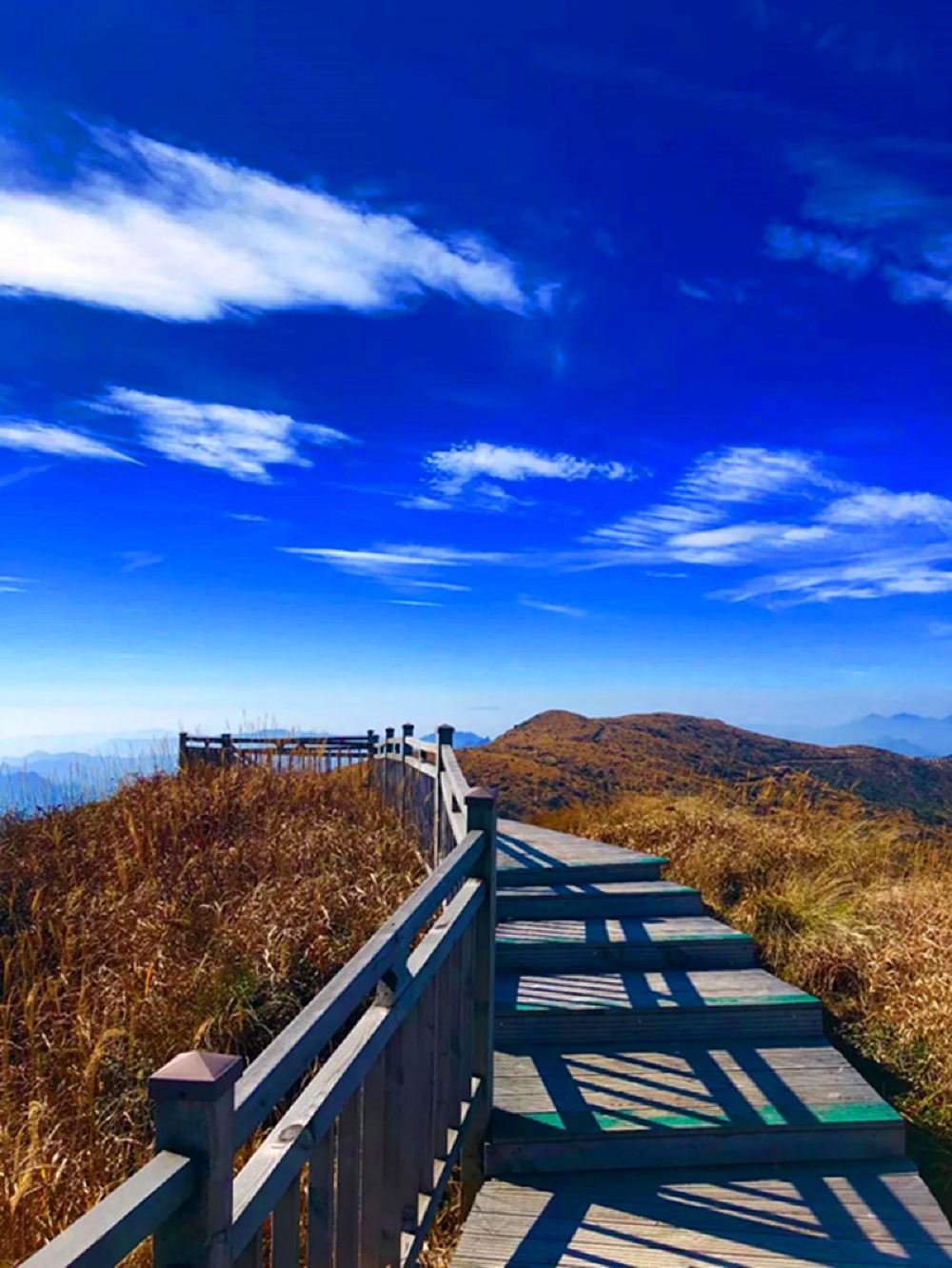 建宁金铙山八闽第峰云端小木屋小火车高品2日游云端别致小木屋雾凇
