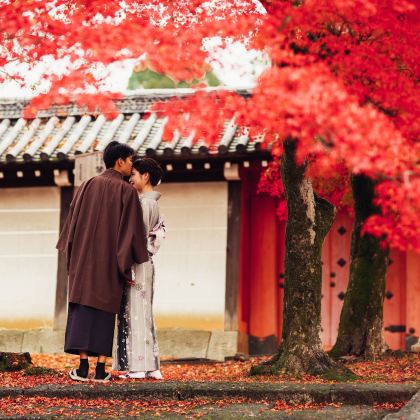 日本东京+箱根+富士山+日光市+浅草寺+河口湖+日光东照宫+日光江户村8日7晚拼小团 日本东京+箱根+富士山+日光市+浅草寺+河口湖+日光东照宫+日光江户村8日7晚拼小团