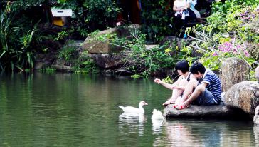 【一价全包】三亚呀诺达一价全包【门票+游览