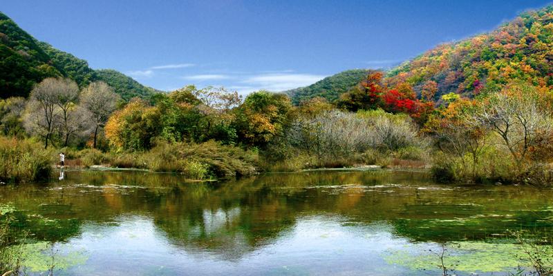 国度森林公园(图1) 国度森林公园