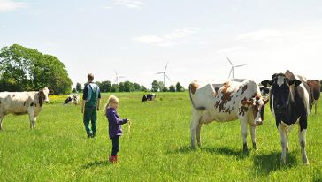 【亲子】崇明熊大叔开心农场+奶牛科普馆一日
