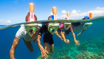 【玩水必备】迪卡侬浮潜全干式(水下呼吸管)潜水面罩出租线路推荐【携程玩乐】