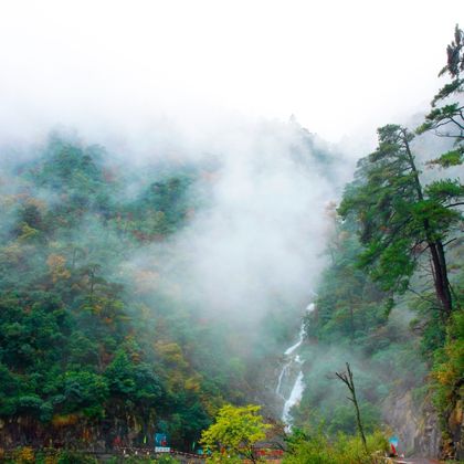 杭州+天目山景区+太湖源一日游 杭州+天目山景区+太湖源一日游