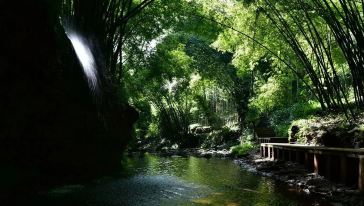 【成都】川西竹海景区成人票
