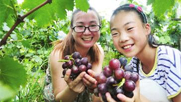 田阳果园亲子拓展夏令营(玩真人CS 水果宴 学