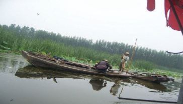 河北白洋淀+文化苑+荷花大观园一日游【北京