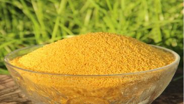 【陕北延安特产】 米脂婆姨贡米 800g 全国四大