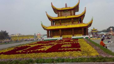 2007年中山小榄镇更获得唯一国际性菊花展览会举办权;踏入2014年