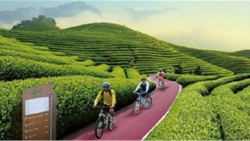 宜兴龙池山自行车公园