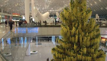 深圳机场-香港往返跨境直通巴士(经深圳湾口岸