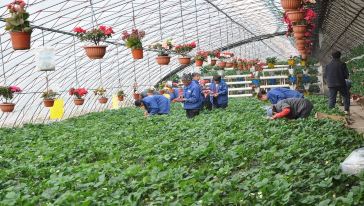 【赠送北京农业嘉年华门票一张】北京昌平农业