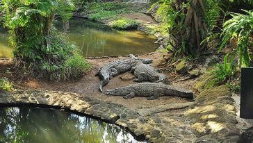【上海航班专享】毛里求斯送机半日游【大浪湾