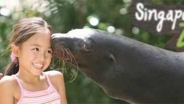 新加坡日间动物园往返巴士游,新加坡 · 新加坡游玩