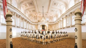【马背上的艺术】维也纳西班牙马术学校的精彩