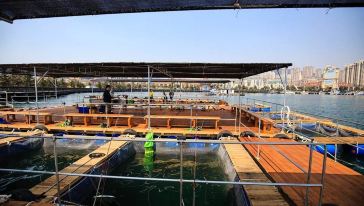 【私家团慢生活】大连钓鱼平台垂钓+捞海鲜+