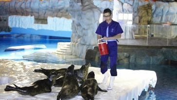 深圳周边两日游去哪里好玩又便宜? - 旅游交通