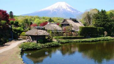 富士山黄金周游之旅【含午餐便当】,日本 · 东