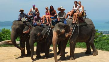 普吉 ATV越野车+山顶大佛+ 骑象一日游【Pra