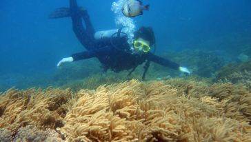 三亚亚龙湾爱琴度假酒店【潜水运动】,海南 ·