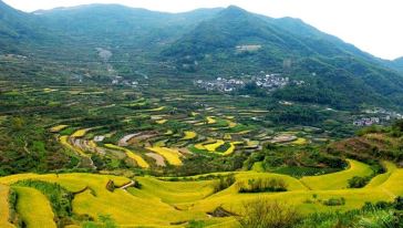 绍兴上虞覆卮山石河群赏古村梯田+观漫山樱花