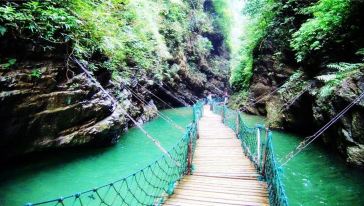 黑山谷健走养生一日游(感受原始的味道)重庆购