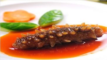 海参排名_活海参图片(2)