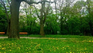 【魅力维也纳】多瑙河游船观光游,奥地利 · 维