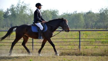 周庄水之韵酒店1晚+苏州英伦骑士马术俱乐部