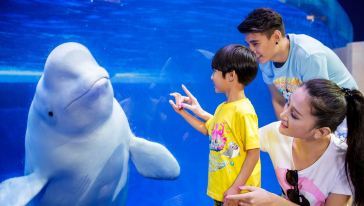 珠海长隆海洋王国景区跨年演唱会夜场门票,广