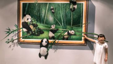 香港3D奇幻世界+天际100半日游游玩交通路线