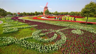 【踏春赏花】郁金香主题公园,湖北 · 武汉游玩