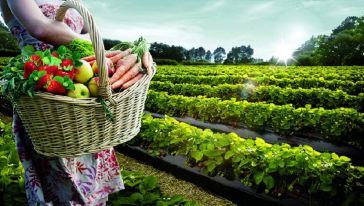 佛山三水宝苞农场春季欢乐体验套餐游玩行程\/