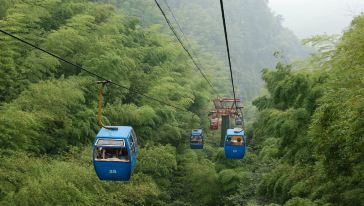 宜宾经济总量2019_宜宾经济发展图