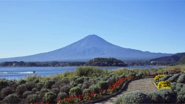 【超甜葡萄任摘任吃】富士山五合目+乘缆车前